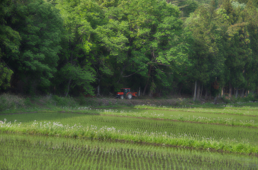 田園風景