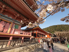 清水寺　境内　その２