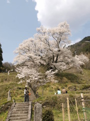 仏隆寺