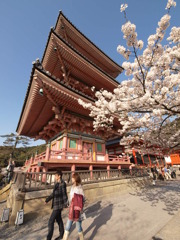 清水寺　　境内で