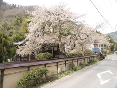 教安寺