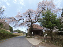 西光寺　　サイコーなんてね！