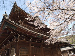 泉涌寺　　