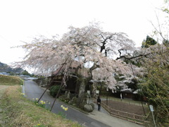 西光寺　　　その２