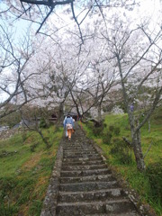 仏隆寺　境内