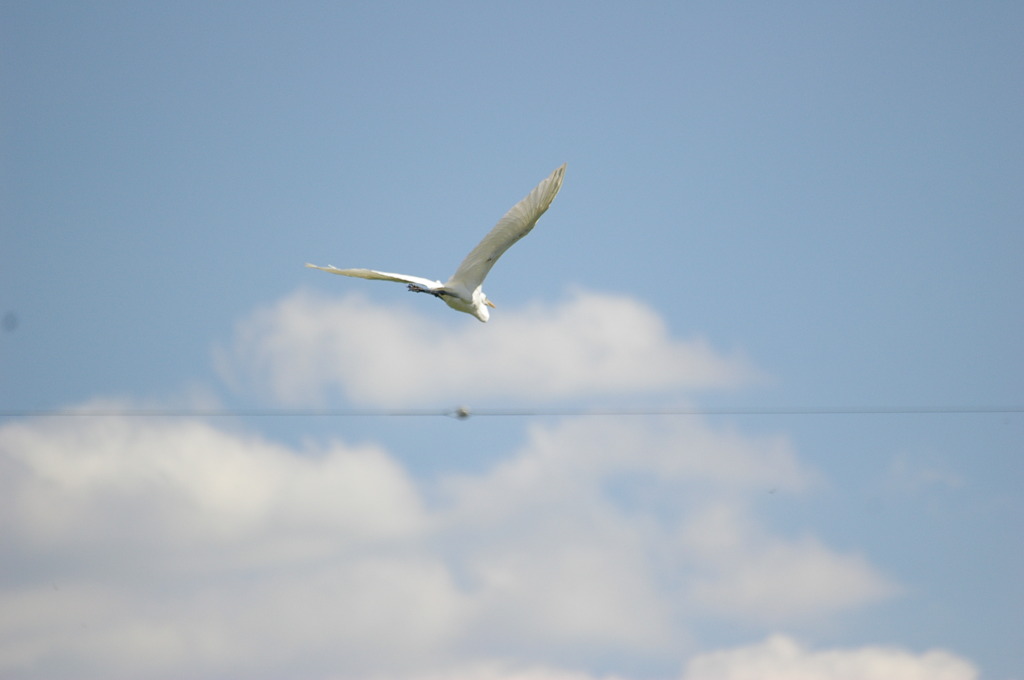 空へ･･･