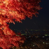 紅葉夜景