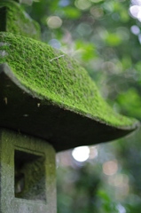 あじさい坂の灯篭
