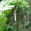あじさい坂の片隅に