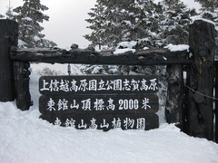 2000ｍからの滑降前
