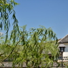 タイムスリップ