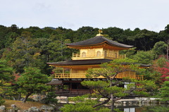 きんぴかのお寺
