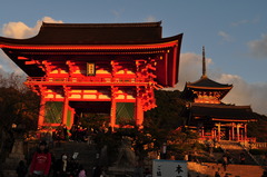 夕方の清水寺