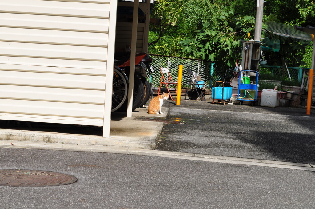 何見てんの？？