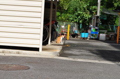 何見てんの？？