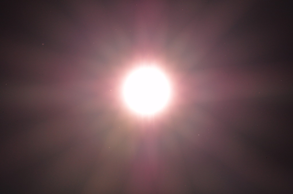 空に咲く花ver.マーガレット?