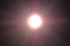 空に咲く花ver.マーガレット?