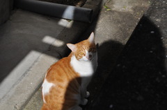 じーーーっ