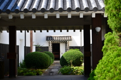 奥