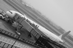 行く機と待つ機
