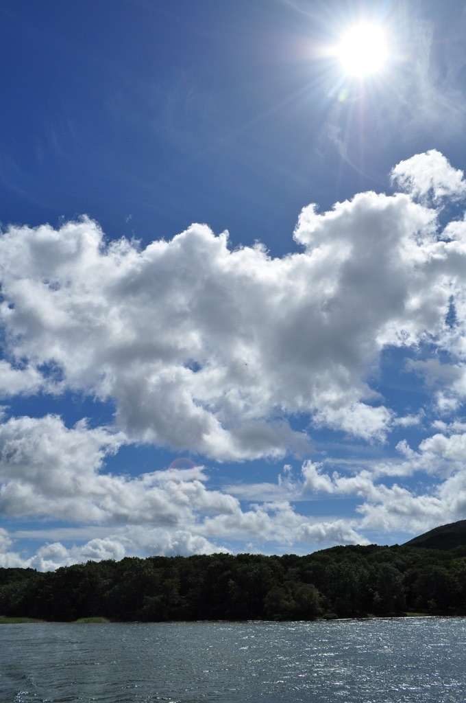 空に浮かぶマリモが輝く