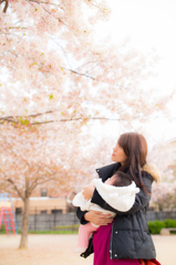 桜舞う季節