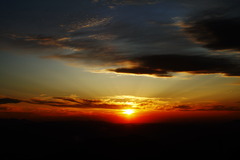 なにか良い事あるかな？