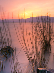 琵琶湖の夕焼け