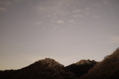 星空と紅葉