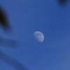 白き星