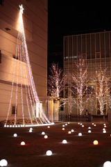 ロームのイルミネーション