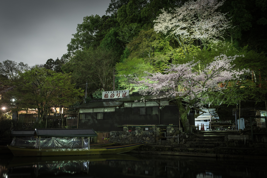 雨夜の嵐山