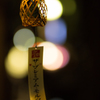 今夜はこれで