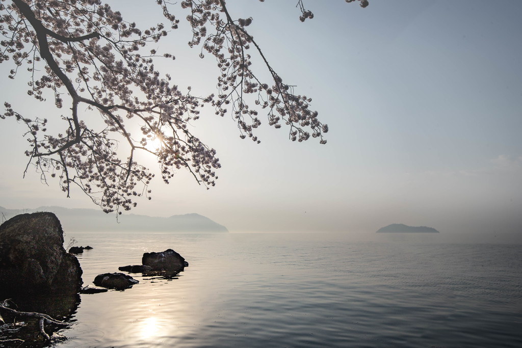 浮かぶ竹生島