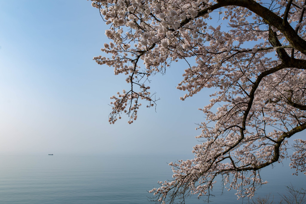 朝の湖
