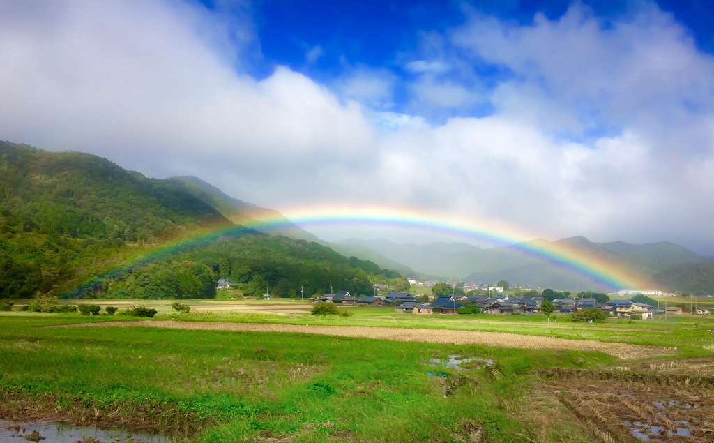 明日へ架ける橋