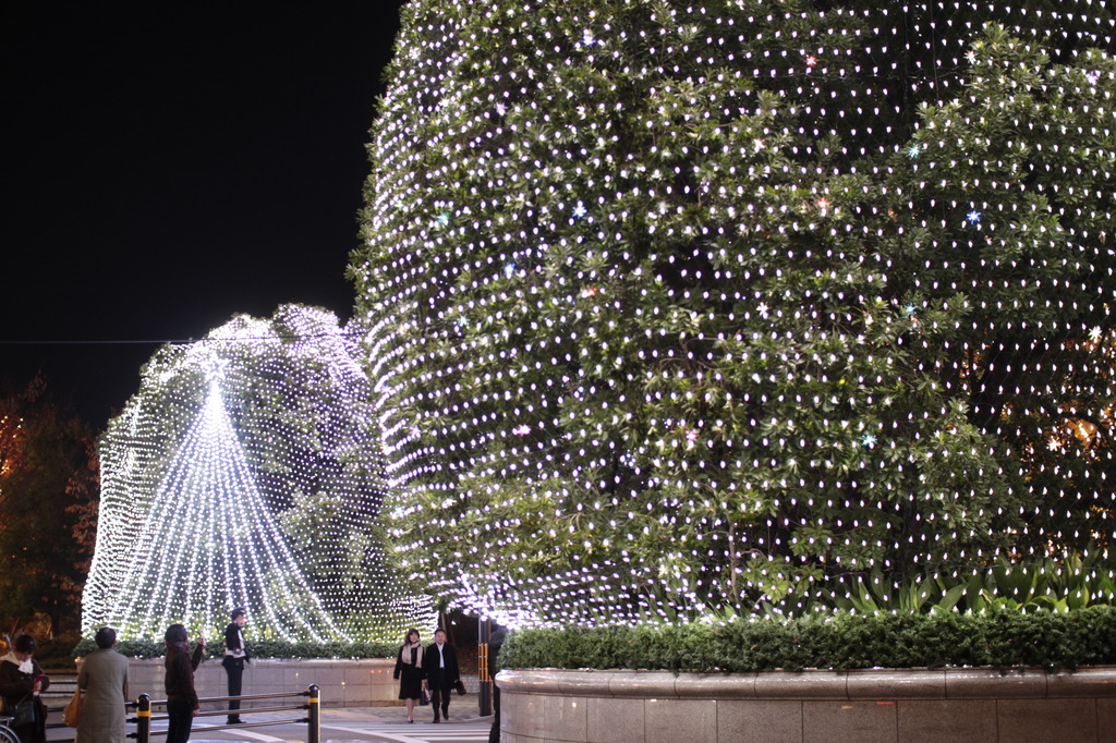 イルミネーション