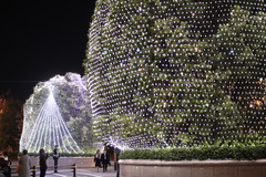 イルミネーション