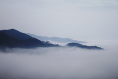 雲海