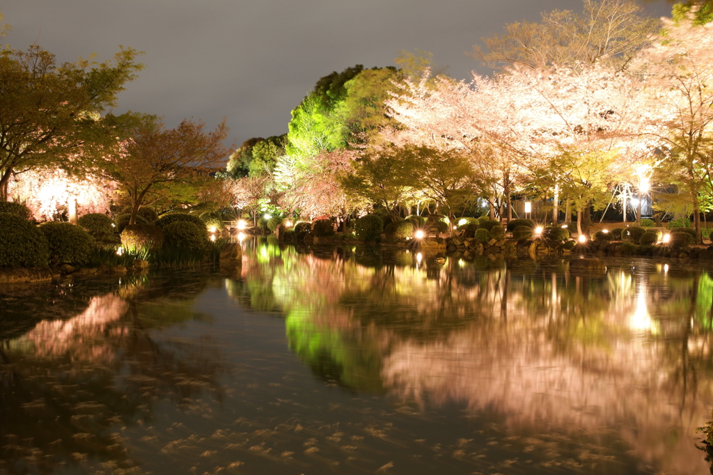 水桜