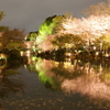 水桜