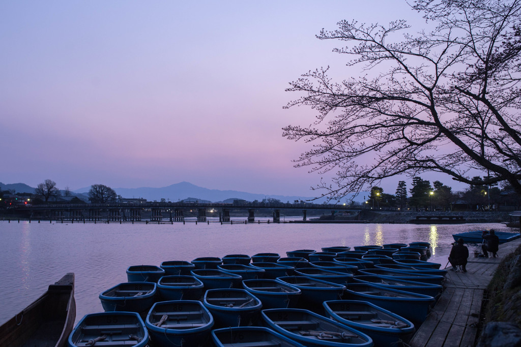 嵯峨野の暁