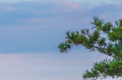 雲海