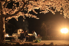 夜桜~田舎式~