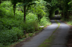 薄暗い山道