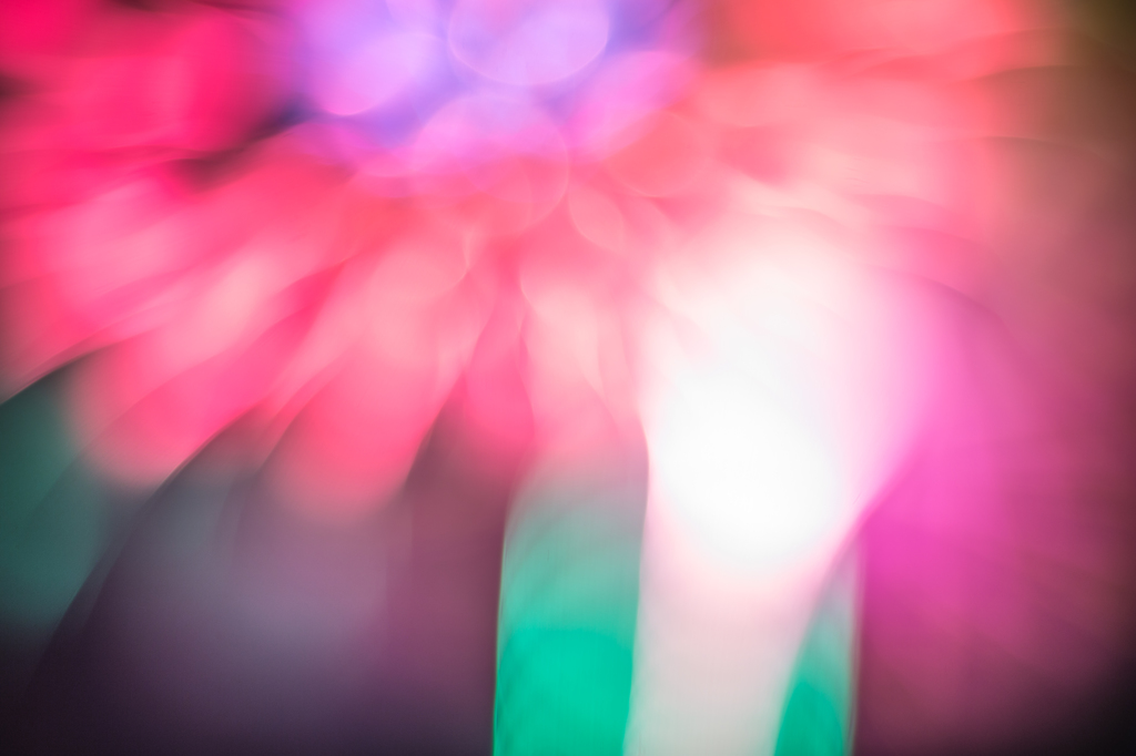 赤いダリア