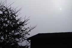 お月さんではありません。