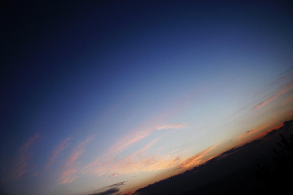 広いなぁ。