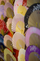 京都の夏