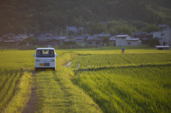 頑張り者